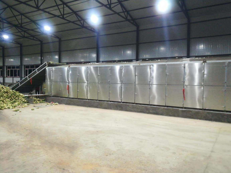 脱水蔬菜带式干燥